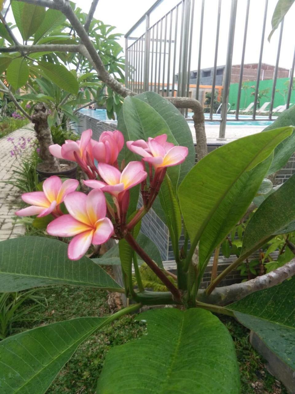 Fortune Front One Hotel Kendari Bagian luar foto
